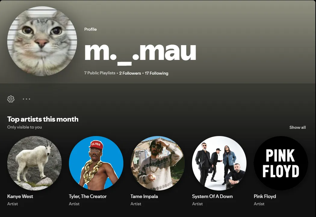 Spotify screenshot